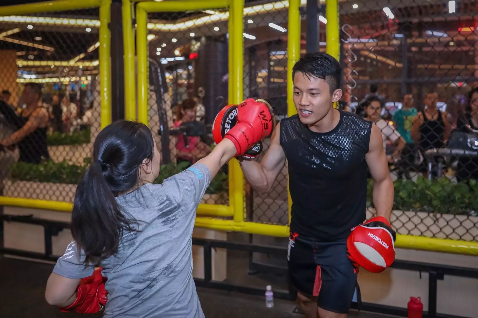 锻炼肌群怎么搭配_健身肌群名称及动作_健身肌群搭配